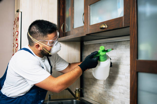 Best Affordable Pest Control Services  in Sparta, TN