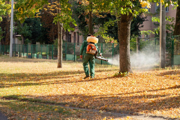 Best Residential Pest Control  in Sparta, TN