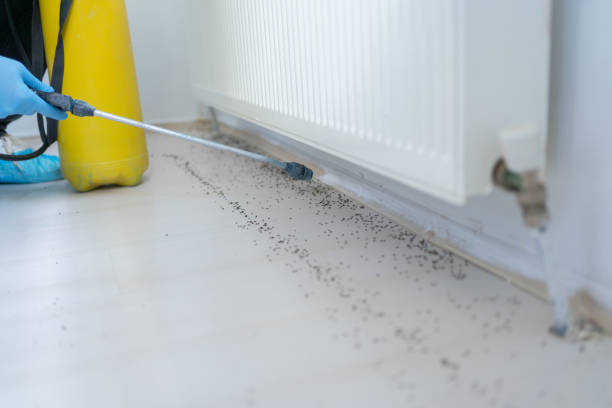 Best Best Pest Control Companies  in Sparta, TN